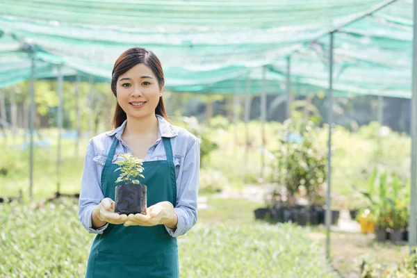 植物の芽とポットを保持しているかなり若いアジアの農場労働者の肖像画 — ストック写真