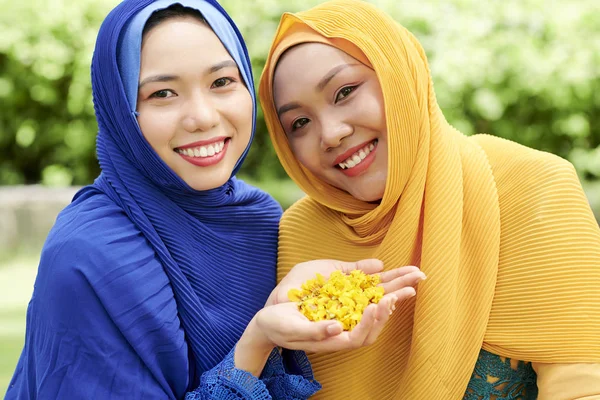 Sarı Çiçek Yaprakları Avuç Gösteren Hijabs Güzel Genç Vietnamlı Kadınların — Stok fotoğraf