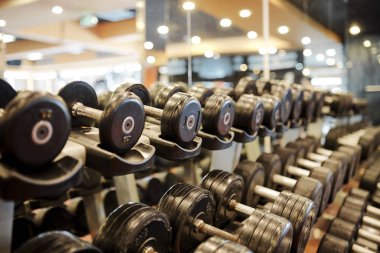Spor salonunda kuvvet eğitimi için rafüzerinde metal dambıl satır