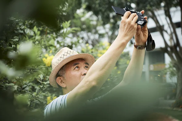 Старший Азиатский Мужчина Шляпе Фотографирует Себя Фотокамеру Стоя Фоне Зеленых — стоковое фото