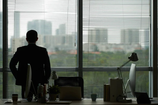 Vista Trasera Del Hombre Negocios Mirando Ventana Grande Oficina — Foto de Stock