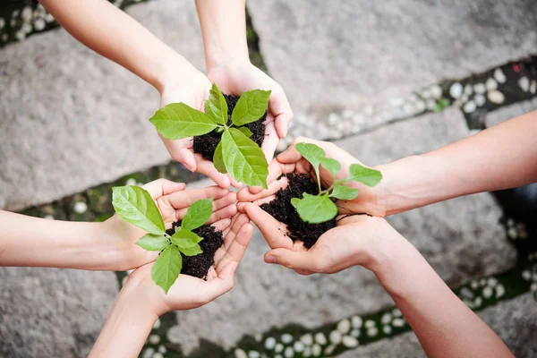 Close Young People Holding Green Plants Soil Palm Hands Outdoors — Stock Photo, Image