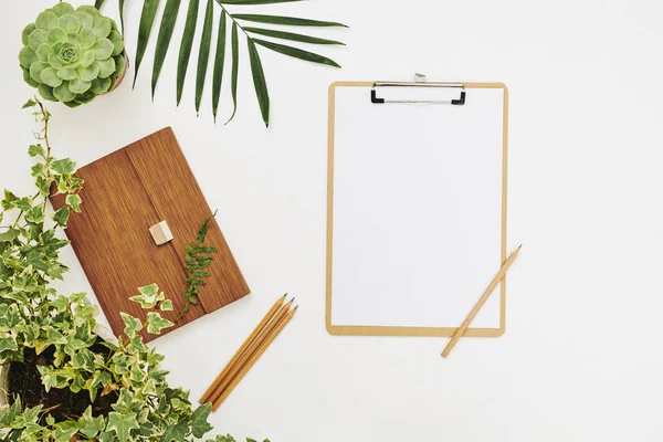 Image of clipboard with blank sheet of paper prepared for writing with green plants around on white background