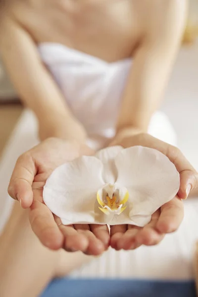 Weiße Zarte Blume Den Händen Einer Kundin Des Wellness Salons — Stockfoto