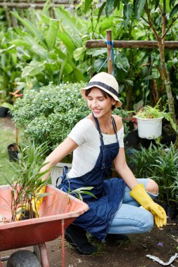 Güzel gülümseyen genç bir kadın el arabasından çiçekleri alıp arka bahçesine yerleştiriyor.
