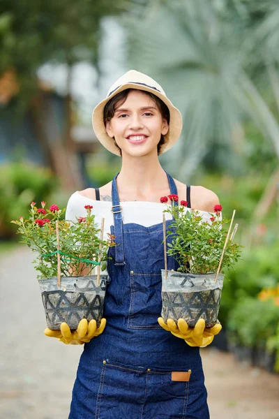 Portrait Happy Proud Gardening Specialist Standing Greenhouse Two Pots Blooming — Stock Photo, Image