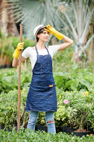 一日中庭に花を植えた後 額から汗を拭く疲れ眉女性 — ストック写真