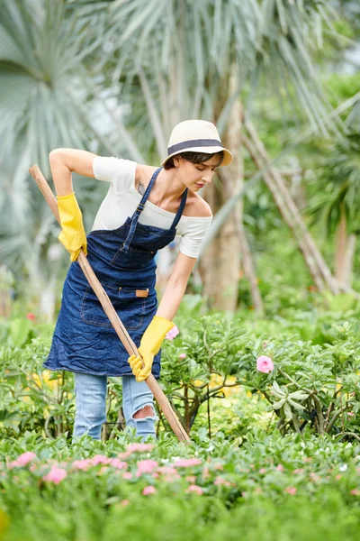 公共の花の庭で作業するときに熊手で草を掃除深刻な若い女性 — ストック写真