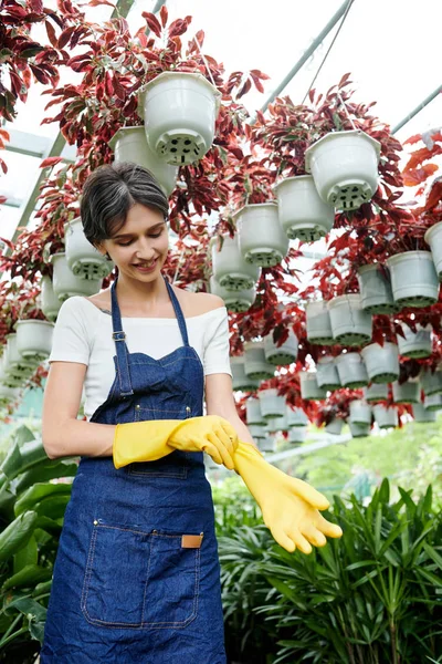 Glimlachende Vrouw Denim Schort Het Aantrekken Van Rubber Handschoenen Voor — Stockfoto