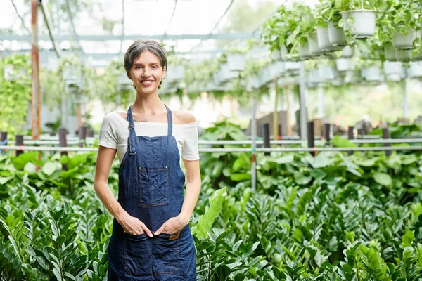 Positivo Muito Jovem Mulher Frente Estufa Cheia Várias Plantas Flores — Fotografia de Stock