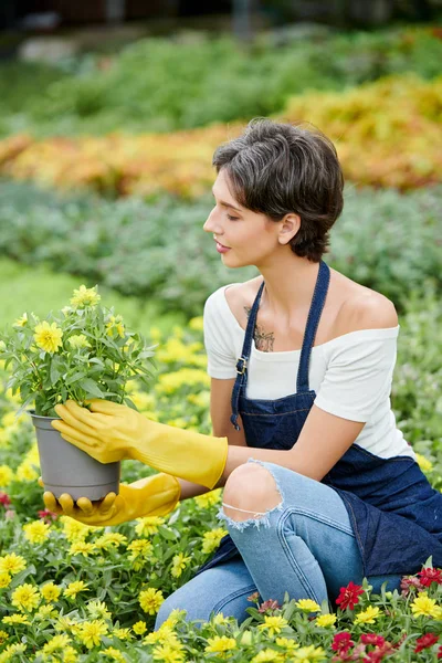 Pretty Woman Enjoying Working Her Garden Pricking Out Blooming Flowers — Stock Photo, Image