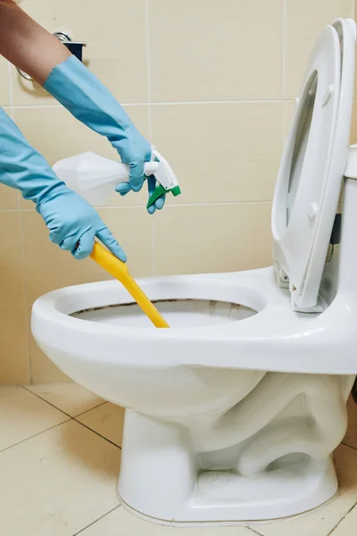 Hausmädchen Oder Hausfrauen Reinigen Toilettenschüssel Mit Bürste Und Desinfektionsspray Die — Stockfoto