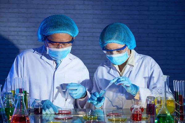 Araştırmacılar Laboratuvarda Aşı Üzerinde Çalışırken Petri Kabına Çeşitli Reaktörler Koyuyorlar — Stok fotoğraf