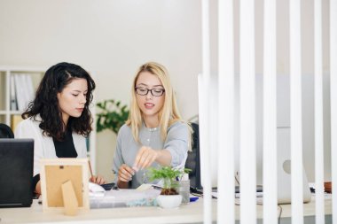 Kadın grafik tasarımcıları proje üzerinde çalışıyor, fikirleri tartışıyor ve planlama işlerini tartışıyorlar.