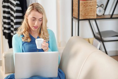 Oturma odasındaki kanepede oturup iş arkadaşlarıyla dizüstü bilgisayarda konferans görüşmesi yaparken bir bardak buzlu su içen güzel genç bir kadın.