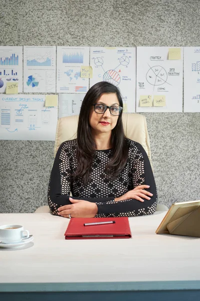 Attraktiv Mogen Indisk Kvinna Med Långt Hår Bär Glasögon Sitter — Stockfoto