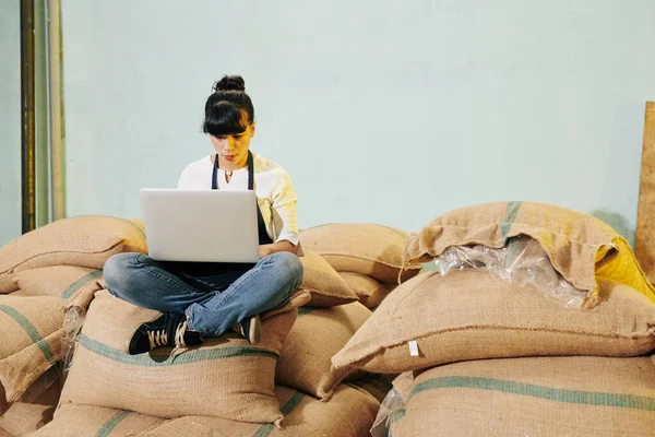 Serous young businesswoman sitting on sacks with roasted coffee and working on laptop
