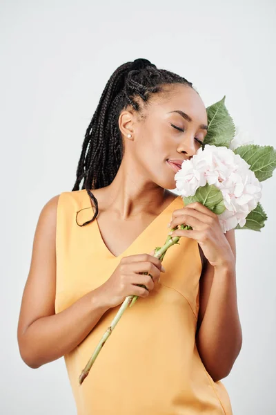 Çekici Genç Siyahi Kadının Stüdyo Portresi Çiçek Açan Ortanca Çiçeğinin — Stok fotoğraf