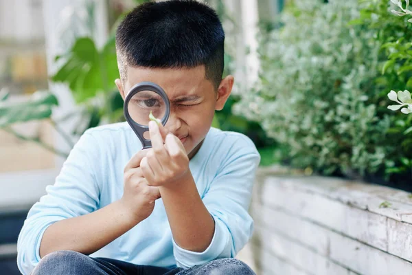 Curioso Bambino Vietnamita Guardando Foglia Verde Attraverso Lente Ingrandimento Quando — Foto Stock
