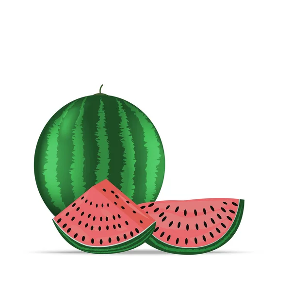 Vector Illustration Logo Whole Ripe Red Fruit Watermelon Green Stem — Stock Vector