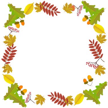 Kırmızı, turuncu, kahverengi ve sarı sonbahar yapraklı vektör arkaplanı.