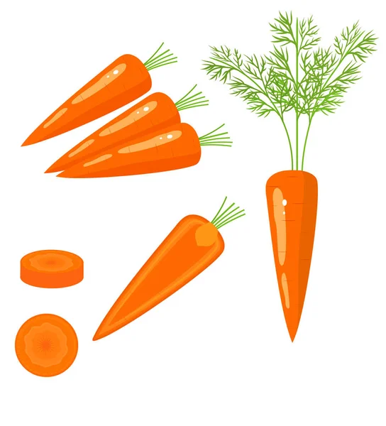 Bright Vector Set Colorful Half Slice Whole Carrot Fresh Cartoon — Stock Vector