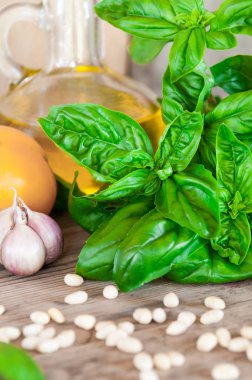 Ahşap bir masa üzerinde taze, yeşil, organik fesleğen. Ve ürünleri salatası için: domates, sarımsak, çam fıstığı. Fotoğraf arka plan bulanık bir rustik tarzda yapılır.