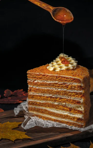 A piece of honey cake with honeycombs.