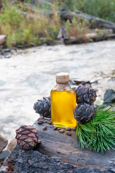 Cam şişedeki çam fıstığı yağı. Ağaç kütüğünün üzerinde duruyor. Yakında çam kozalakları, dallar ve fındıklar var. Dağ nehri arka planı.