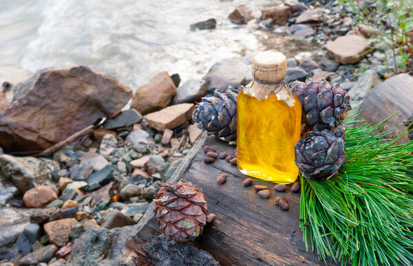 Pine nut oil in a glass bottle. Stands on a tree stump. Nearby are pine cones, branches and nuts. Stones and water background.