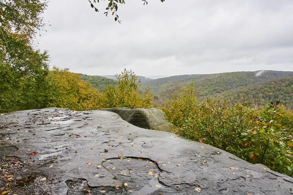 Kivinäköala Pennsylvanian Vuorille Märkä Syyspäivä Jolloin Lehdet Alkavat Muuttua Keltaisiksi — kuvapankkivalokuva