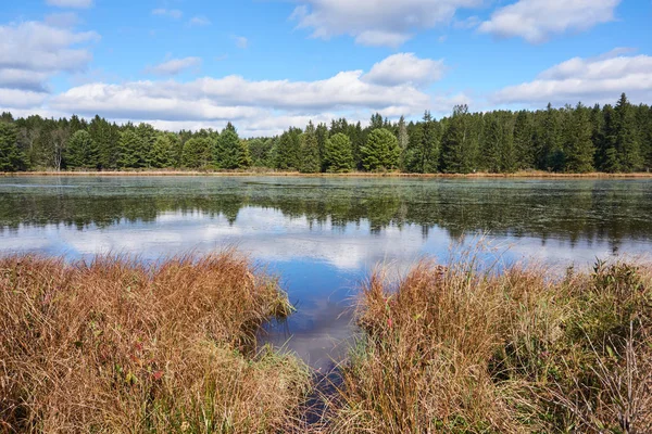 Beaver Meadows Allegheny Ulusal ormanı içinde gölde. Çimenli kıyı ile diğer tarafı astar herdem yeşil bir tarafını tutuyor. Güneşli bir gün mavi gökyüzü ve beyaz bulutlar ile.