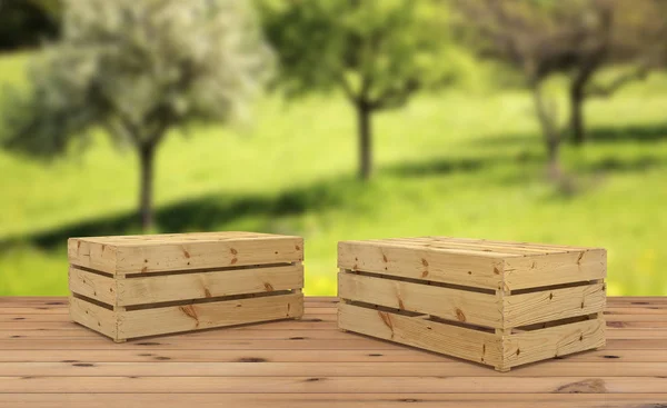 baş aşağı için meyve ya da sebze ahşap zemin üzerinde iki ahşap kasalar 3D render. Orchard arka plan üzerinde.