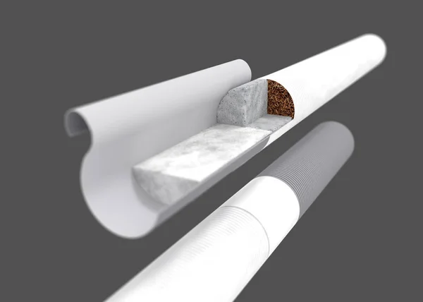 bölümün gri kağıt ile sigara filtresi ile 3D gerçekçi render. Gri arka plan üzerinde kırpma yoluyla