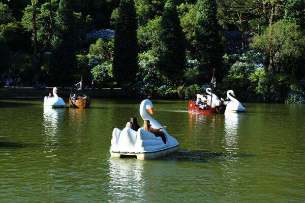 Beautiful picture of swan paddles in Lago Negro (Black Lake), a popular touristic destination in Gramado, Rio Grande do Sul, Brazil