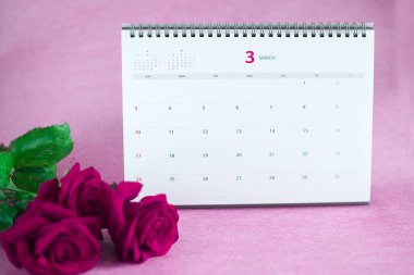 gül pembe bir arka plan üzerinde Mart, 2019, takvim (yatay olarak yerleştirmek için metni, yazıtlar)