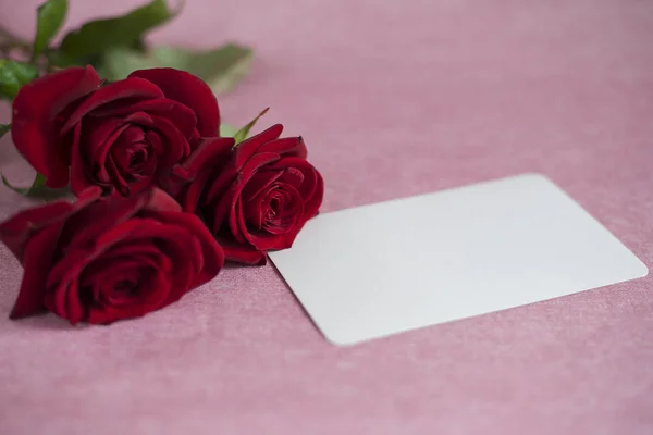 Three Red Roses Empty White Card Inscriptions Text Lies Pink Stock Photo