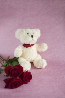 Beyaz oyuncak ayı ve üç kırmızı güller pembe bir arka plan (dikey olarak yalan)