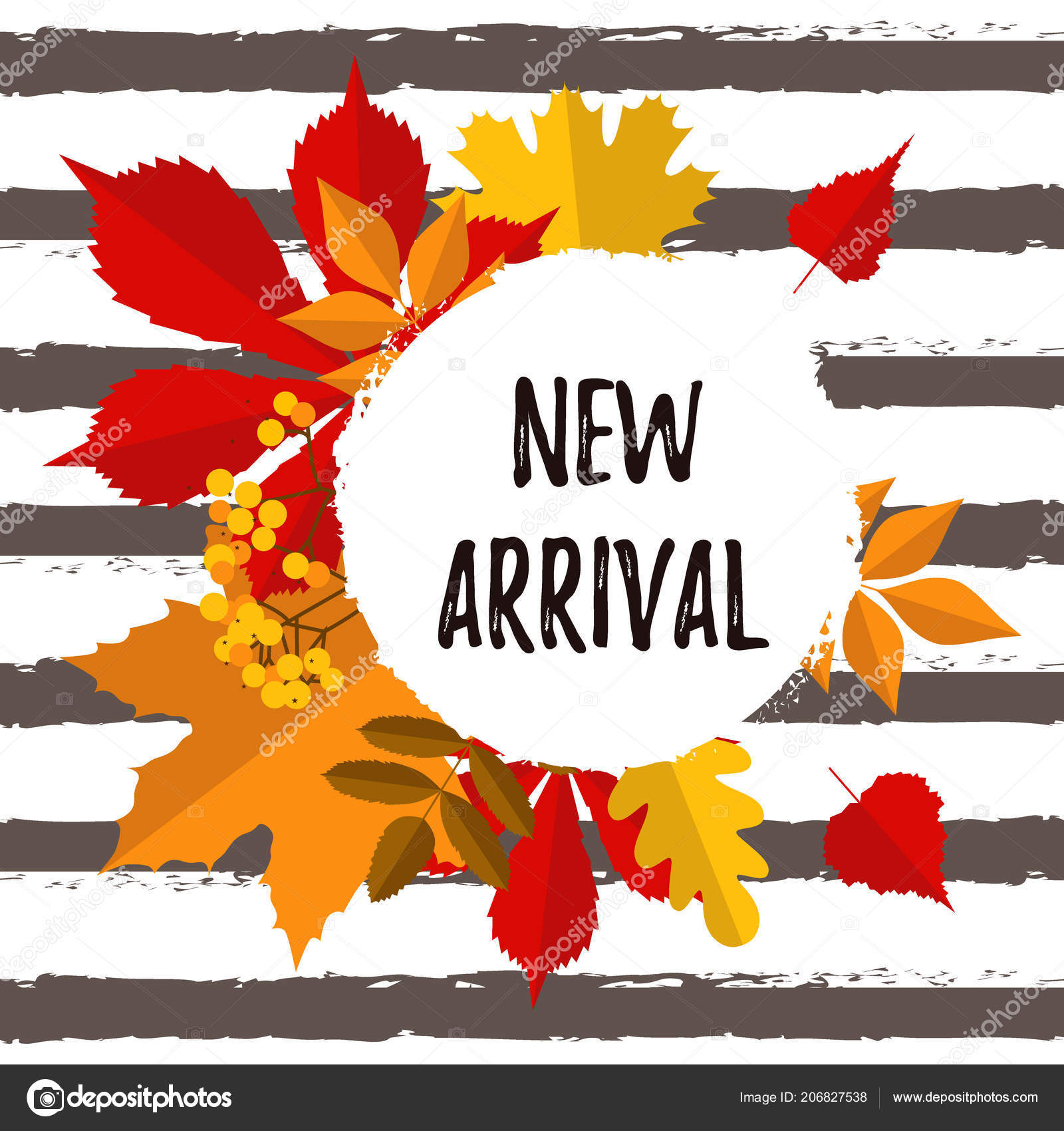 Autumn Typography Poster New Arrival Colorful Leaves Flat Style Vector Stock Vector C Illustraterita 206827538