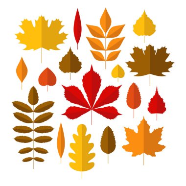 Sonbahar renkli yaprakları ile düz stil ayarla. Birçok farklı nesneleri için tebrik kartları, davetiyeler tasarım illüstrasyon vektör. Mevsimlik çerçeve, Satılık, web banner şablon kırmızı ve sarı sınır