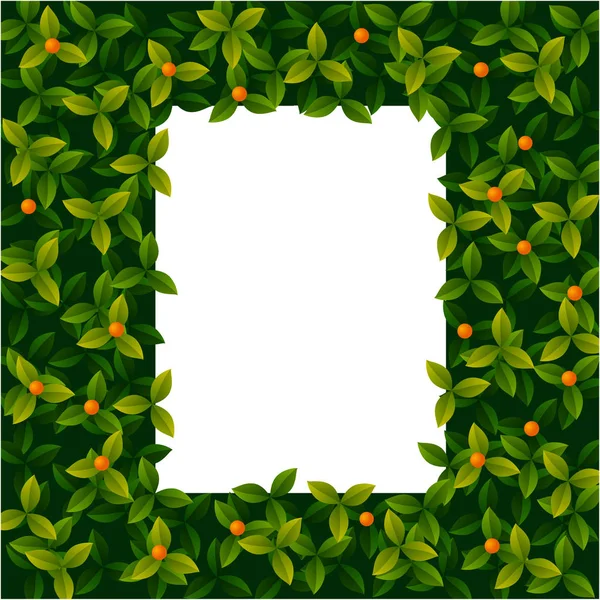 夏天的排版海报与可爱的植物与浆果在平的样式 查出在白色 向量例证 框架为妇女天 母亲节边界 框架为贺卡 — 图库矢量图片