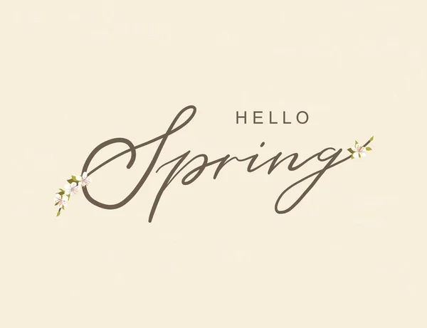 Hello spring typography hand drawn lettering poster with flower frame decor. Vector illustration for 8 March Womens Day, Mothers Day, greeting cards, invitations. Floral border background, template — Stock Vector