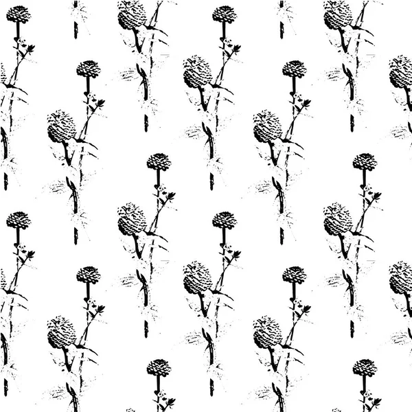 ジニアのスケッチのシームレスなパターンの花、花装飾黒と白。ベクトル図. — ストックベクタ