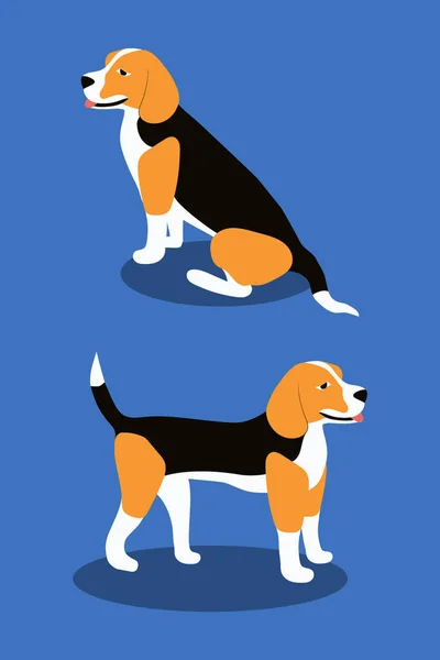 Verschiedene Posen von Hundebeagle, einfacher flacher Stil - Illustrationsvektor — Stockvektor