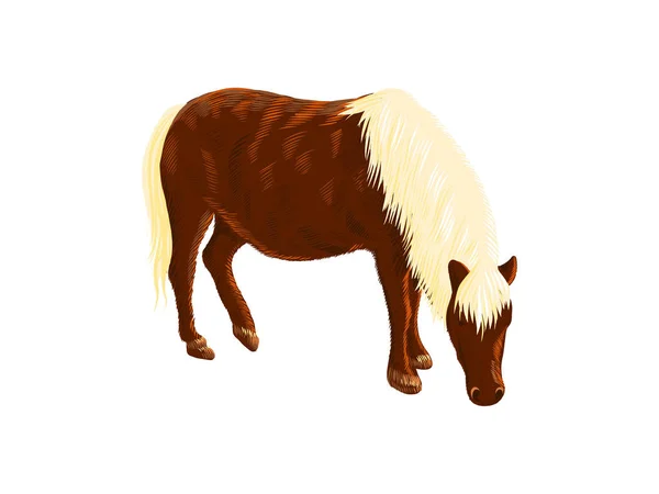 Caballo miniatura americano, ilustración colorida del vector del boceto del garabato, dibujo animal dibujado a mano, aislado en blanco — Vector de stock