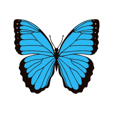 Beyaz arka planda izole renkli gerçekçi hükümdar kelebeği. Vektör çizimi