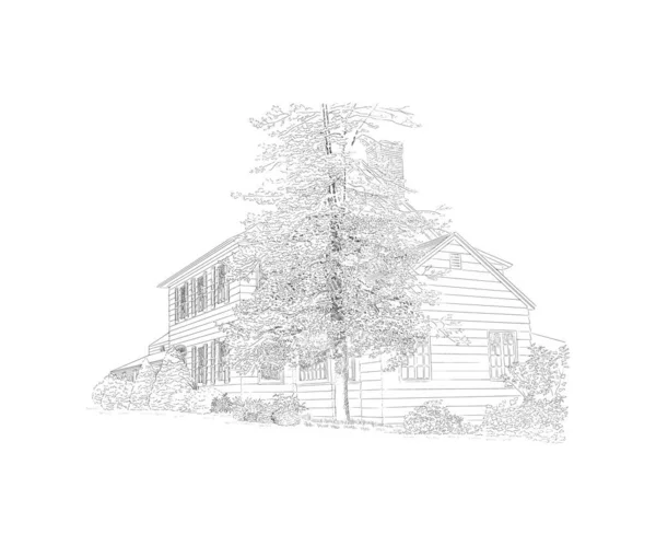 Illustration Vectorielle Avec Manoir Style Grand Arbre Devant Lui Domaine — Image vectorielle