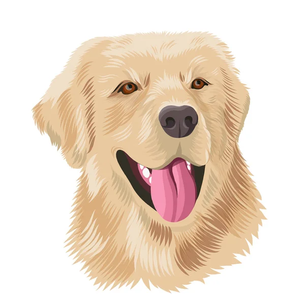 Labrador retriever close up retrato do cão. Desenho animal de estimação em cor, rosto de labrador de ilustração vetorial. Cabeça de cão com língua saliente. —  Vetores de Stock