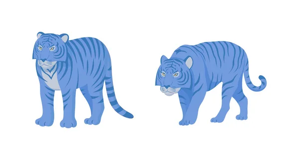 2 Астрологія Вектор китайського тигра (синій колір) у різних позах. — стоковий вектор