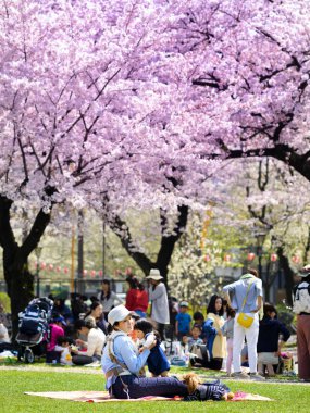 Tokyo Japonya - 29 Mart 2018: Kinshi Park, kimliği belirsiz Japon anne çocuklarını alarak Sakura ağacı altında piknik. Bu etkinlik sırasında erken kiraz çiçekleri çok popüler oldu.